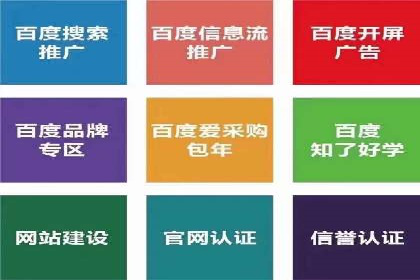百度优化推广案例：案例分析及优化建议